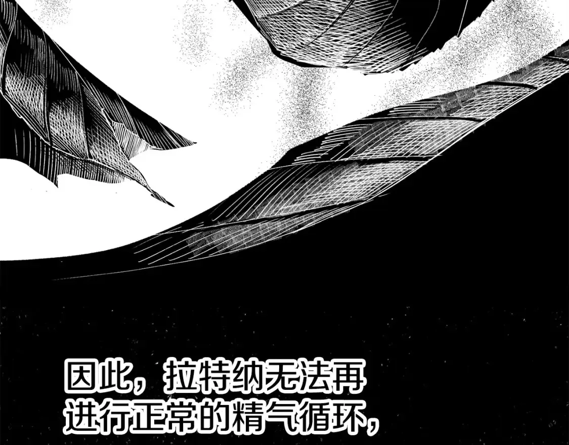 第187话 枯萎的世界树8