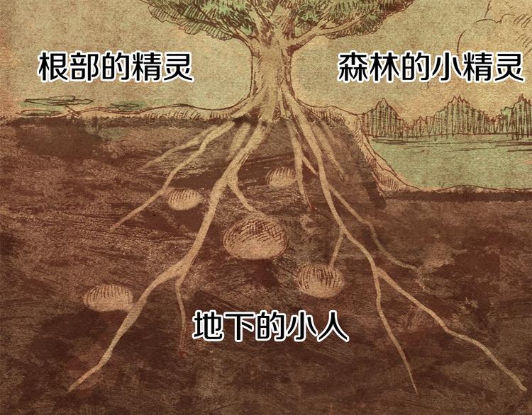 第73话 妖精王国32