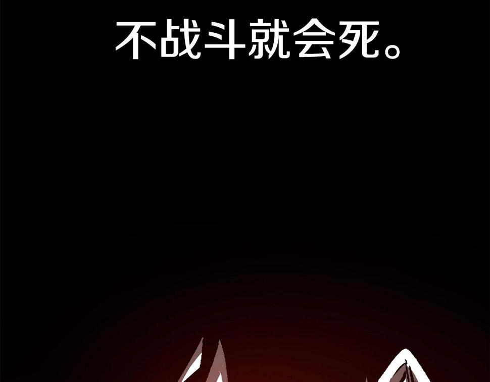 第154话 诱饵7