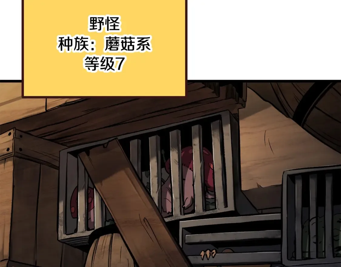 第190话 接近圣母教205