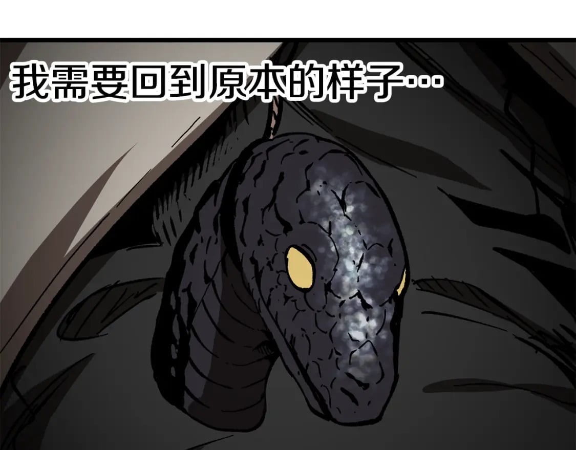 第164话 死去的幻象龙208