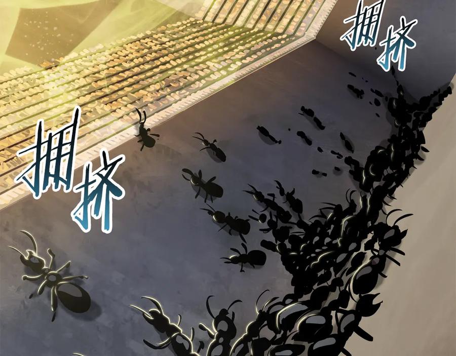 第55话 战端开启167