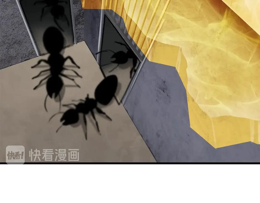 第55话 战端开启161