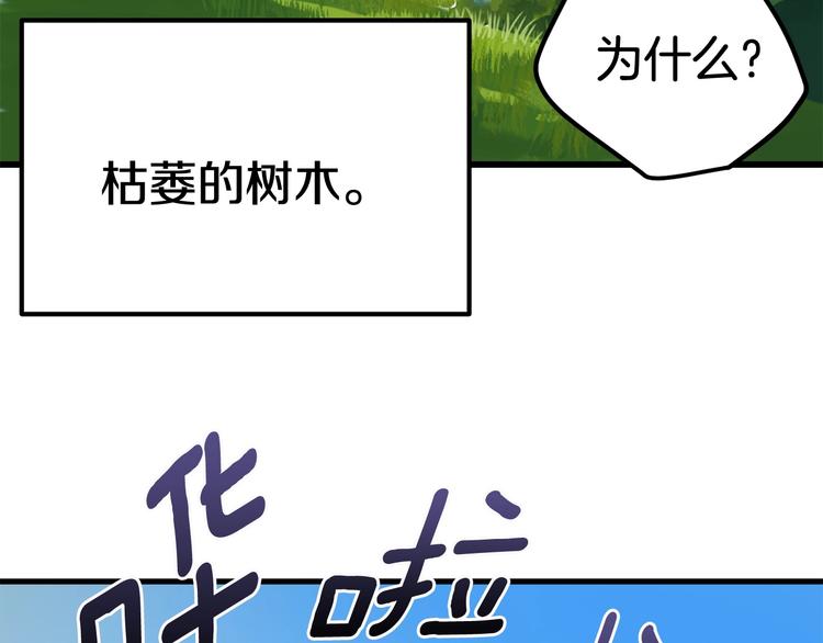 第4话 飞龙中的奇葩8
