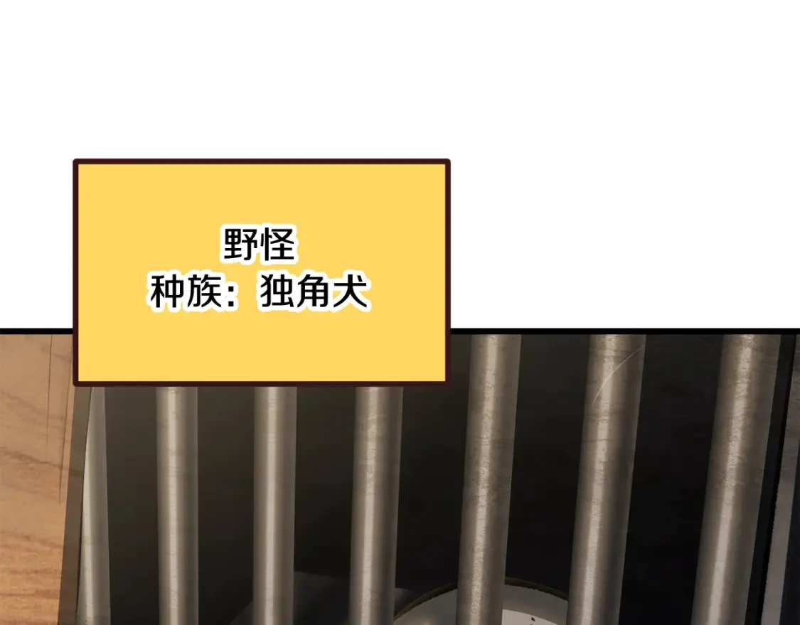 第190话 接近圣母教210