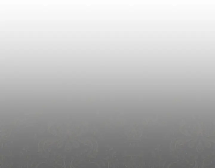 第9话 强大的后盾6