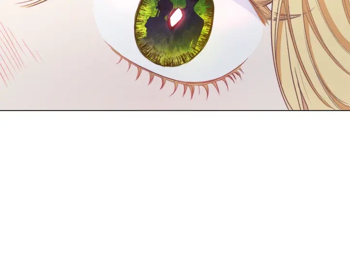第43话 他送的宝石76