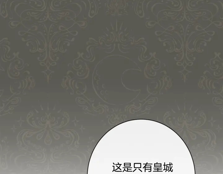 第33话 盛大聚会？66