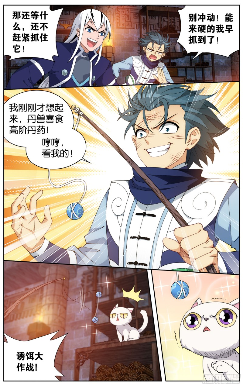 313回 灵猫7