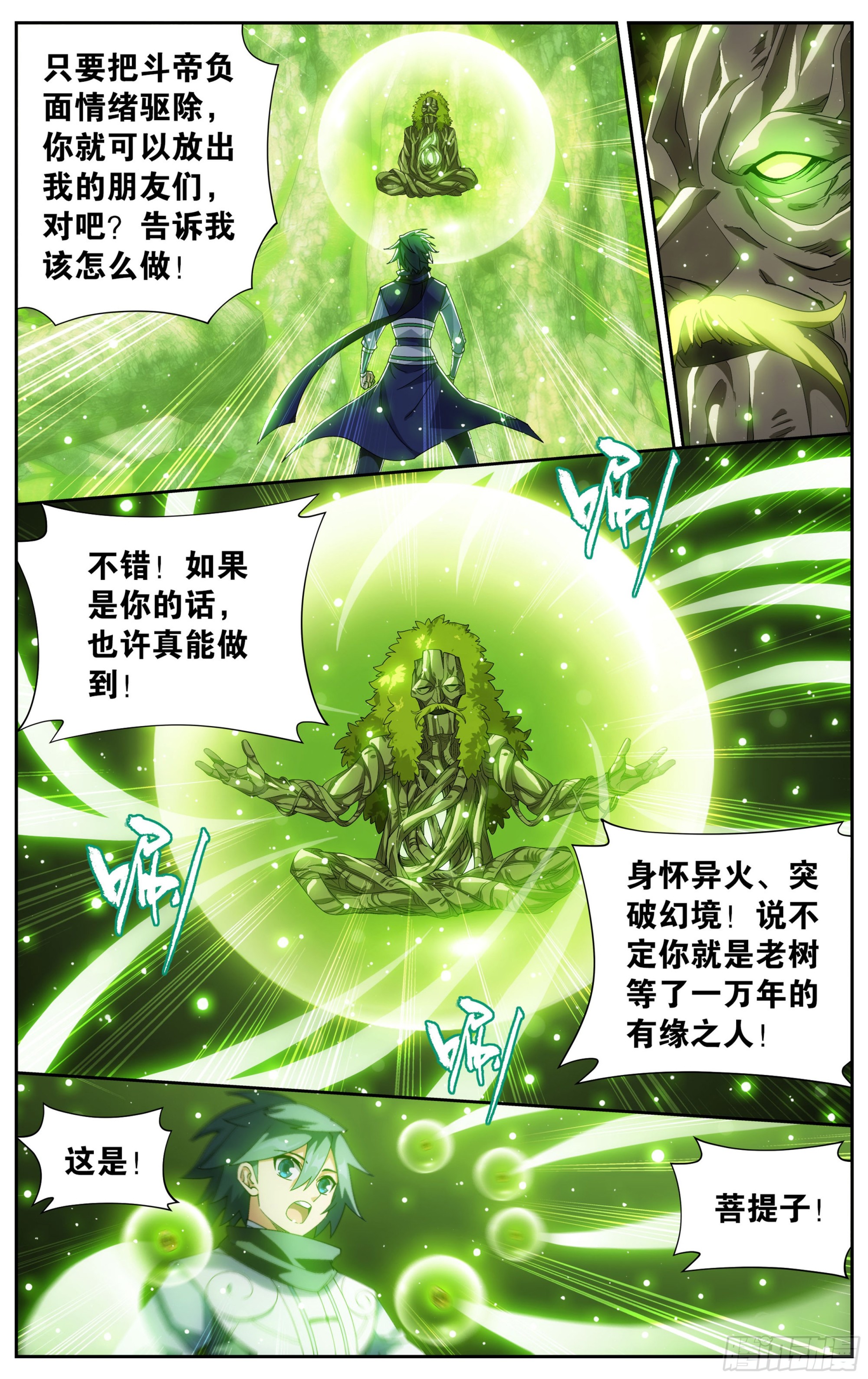 373回 老树14