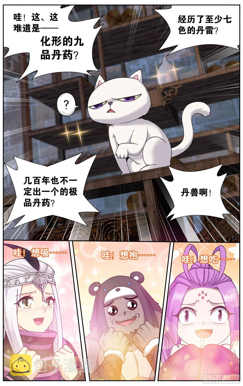 313回 灵猫6