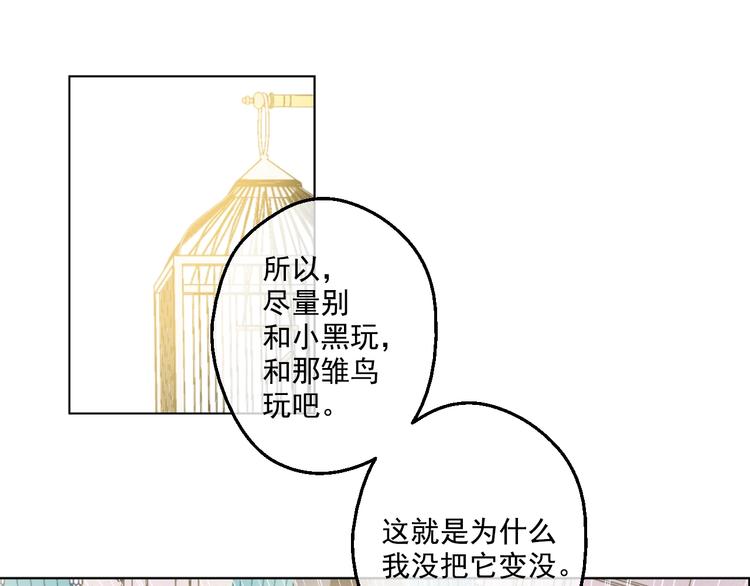 第44话 萌公主的愿望86