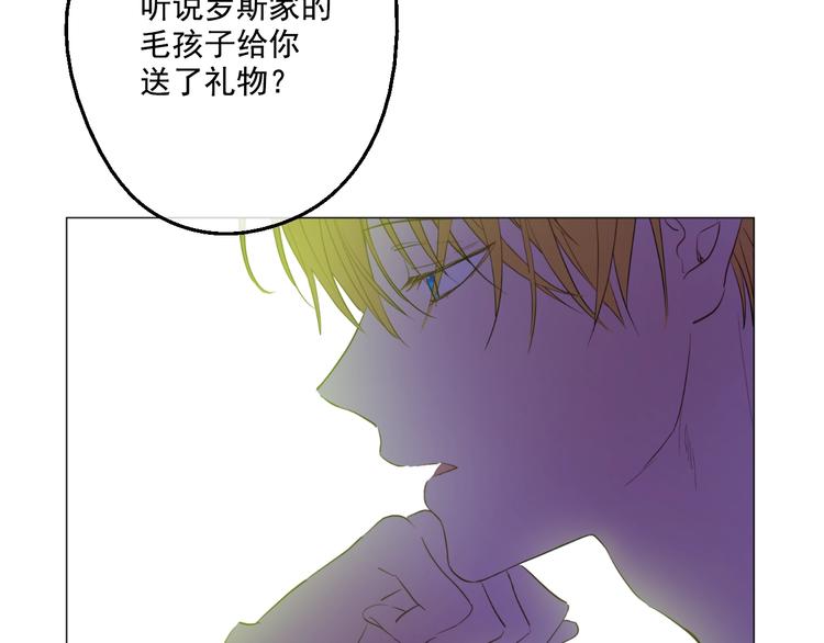 第43话 伊尔的礼物77