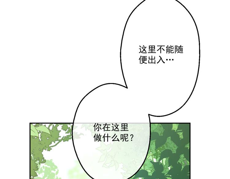 第17话 魔法师少年25