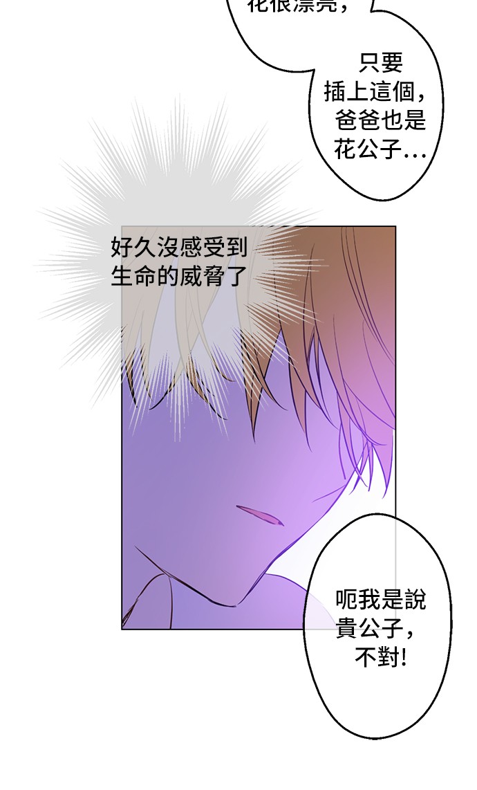 第38话 你说谁更高？18