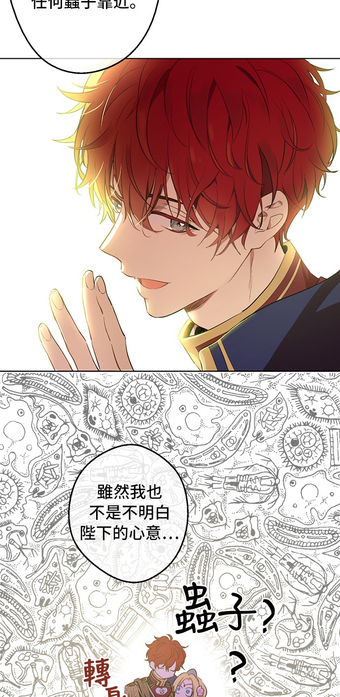 第33话 除非她有两个11