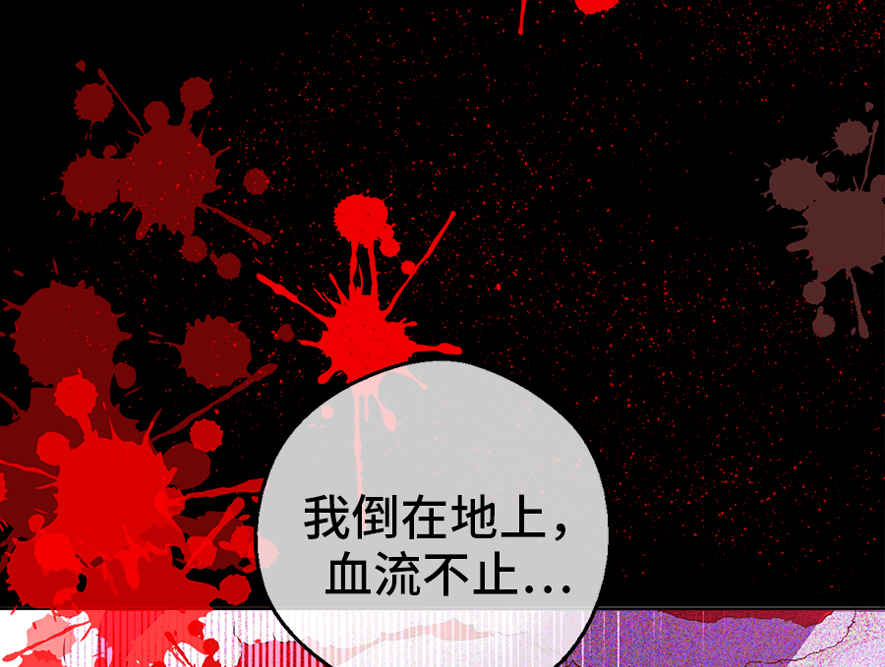 第8话 先皇的过去11
