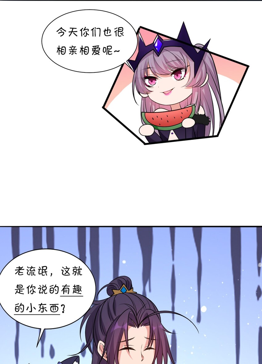 38 路遇“有趣的小东西”42