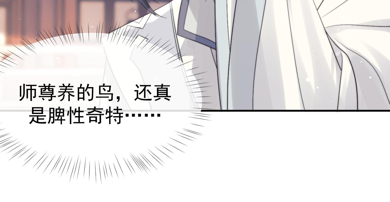 第23话 那师尊喜欢我？34