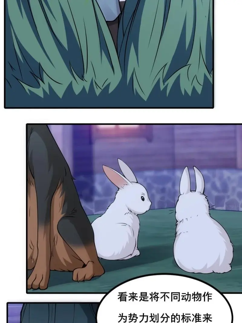 215 第206话11