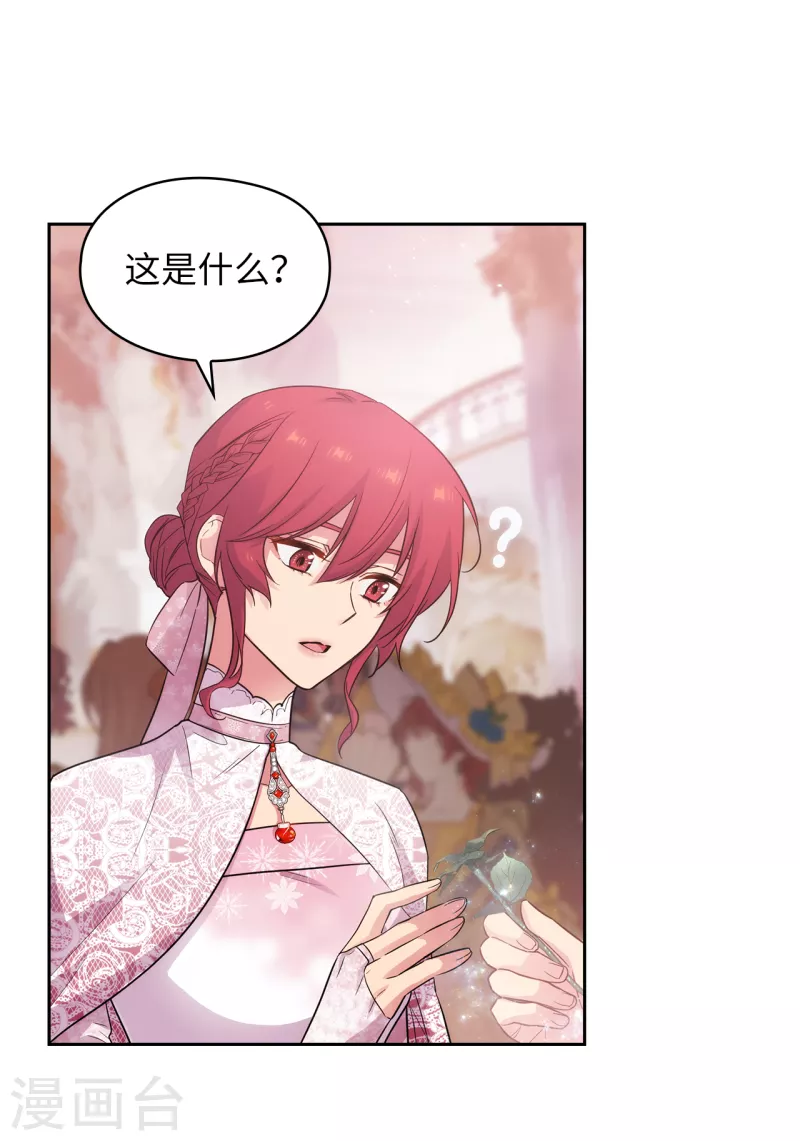 第337话 浪漫中年人的礼物31