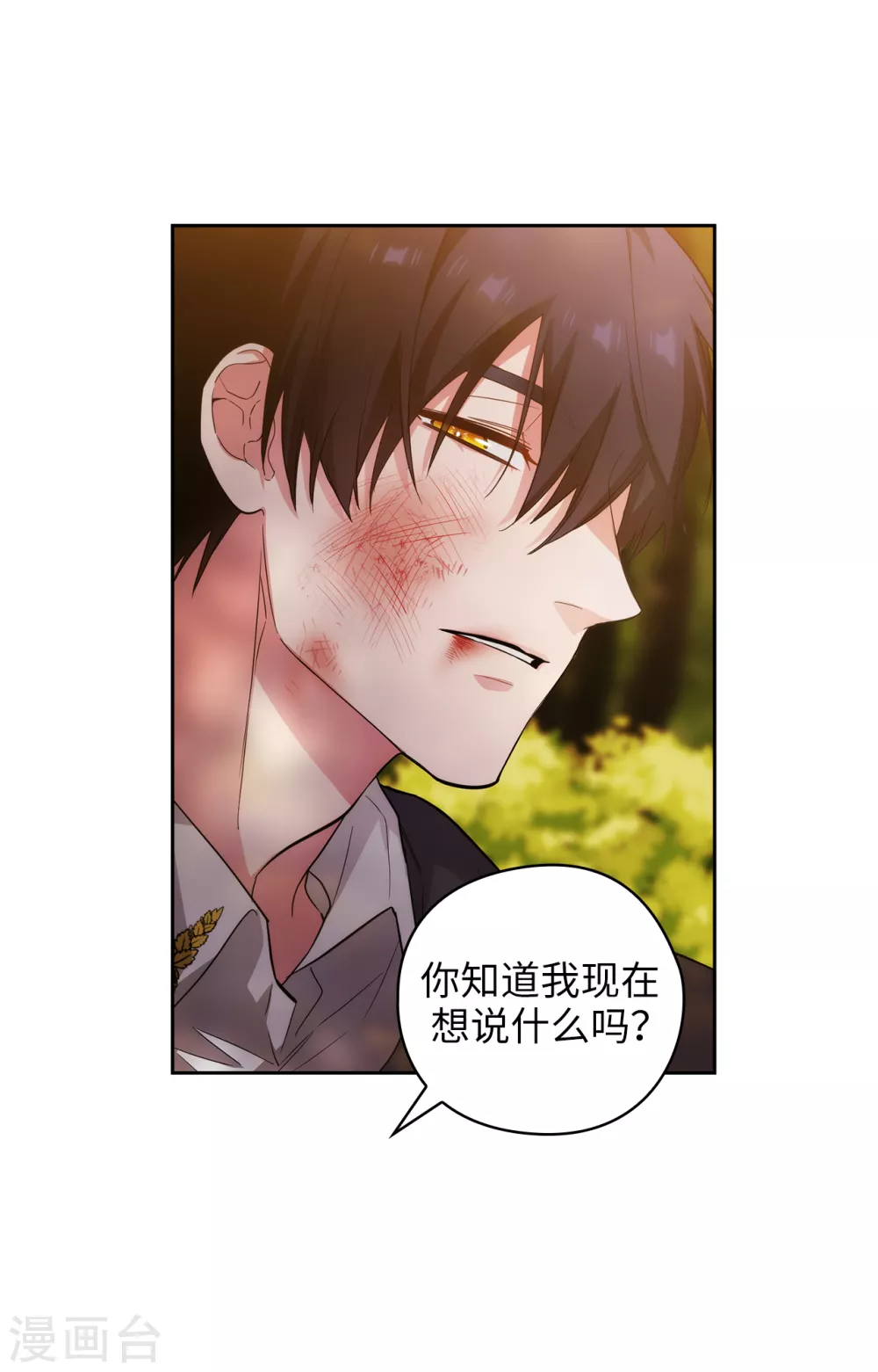 第317话 你值这么多钱27
