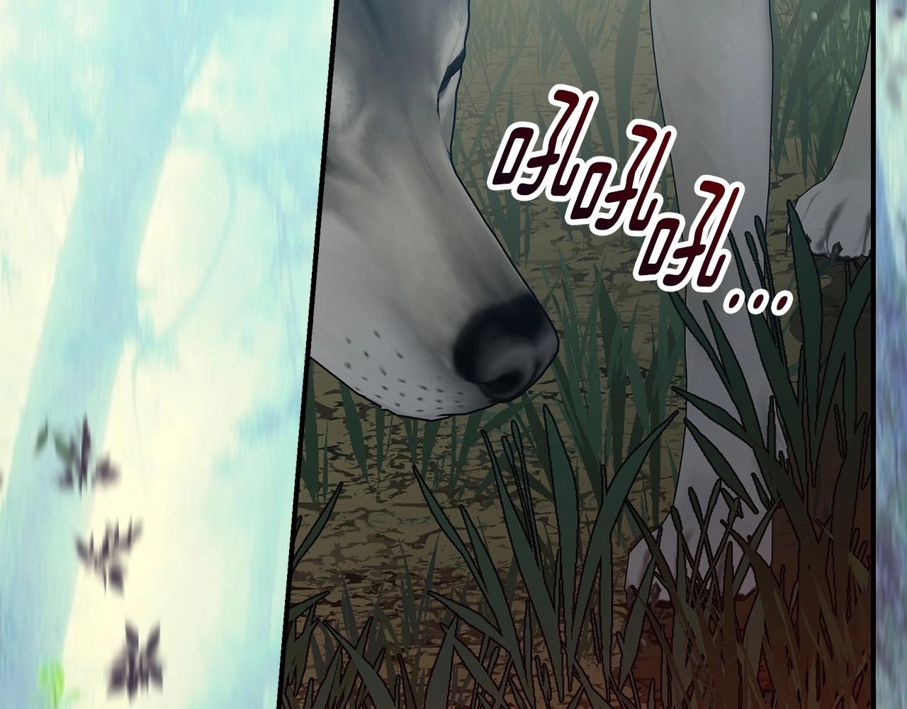 第77话 海莉生死一刻149