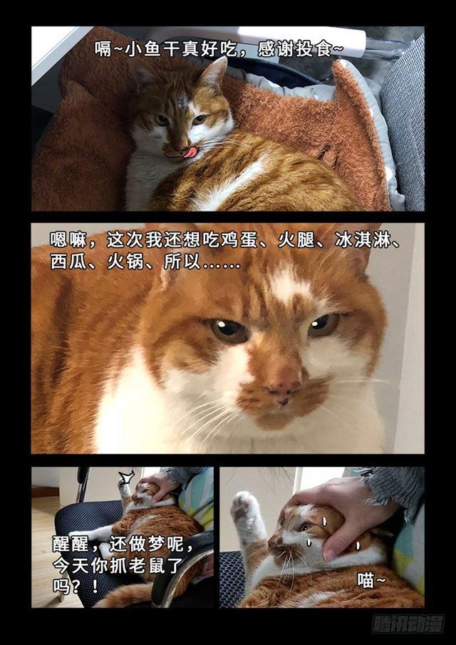 第一九五话·多管闲事15