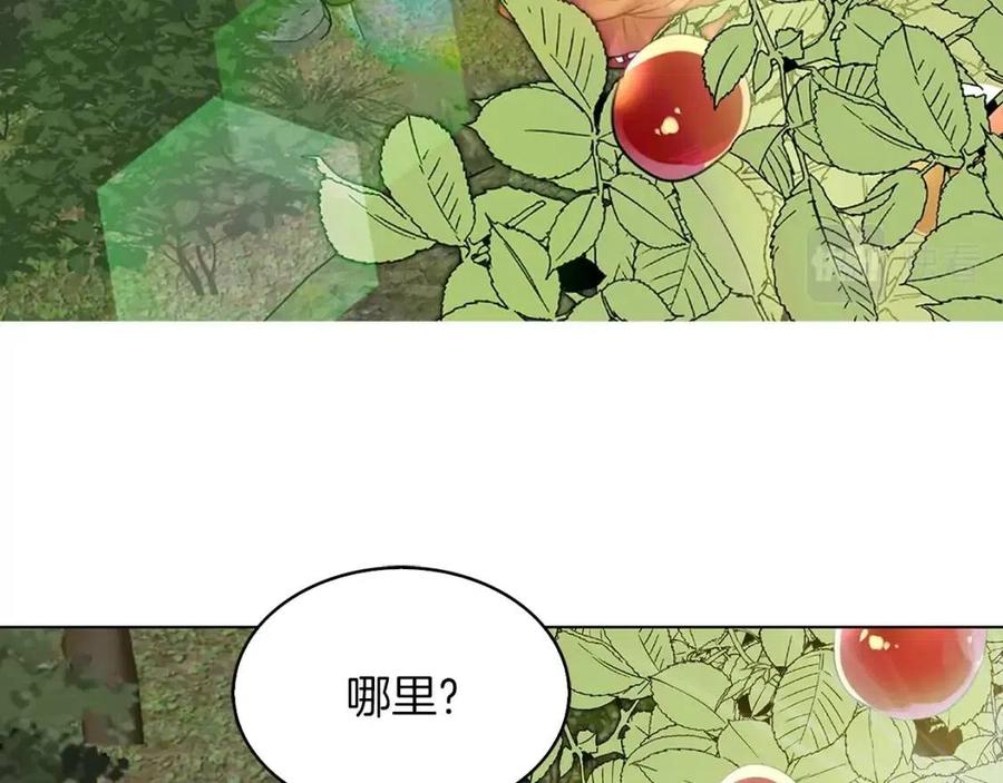 番外9 贾尼斯的老套路380