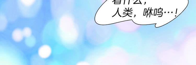 第19话 男主的战书？87