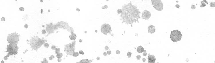 第53话 狗血的故事77