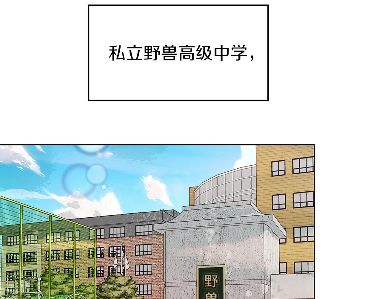 番外31 网络小说之花16