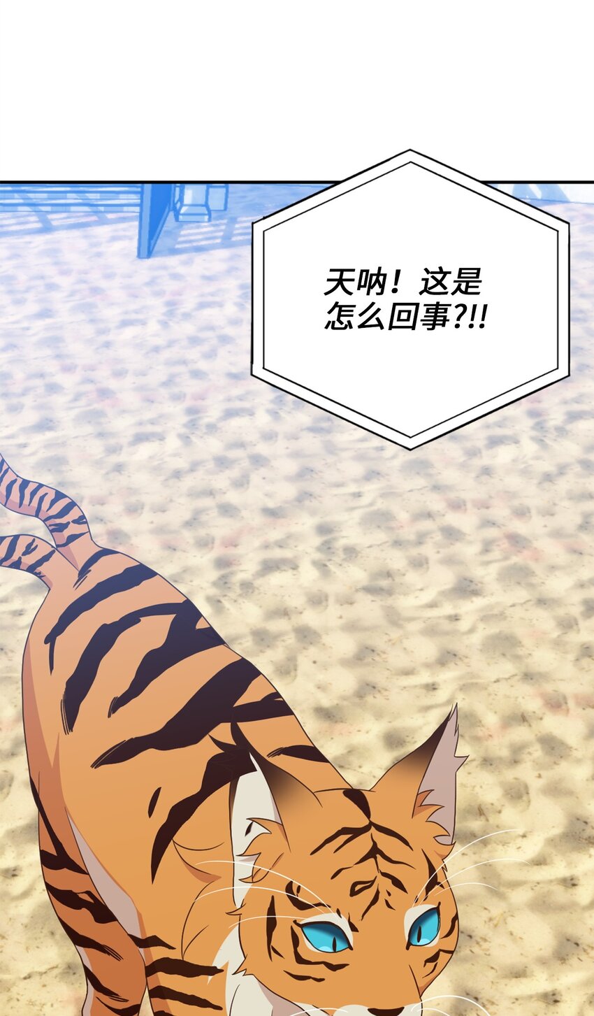 72 野兽被驯服了？9