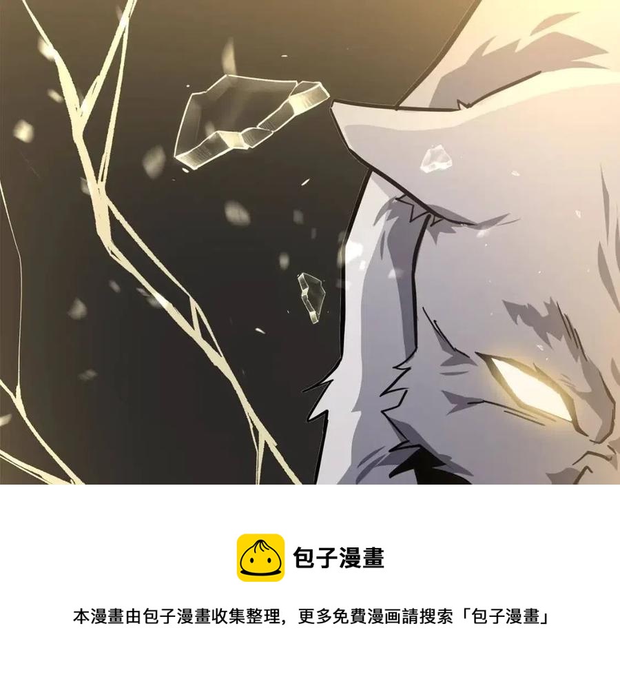 第23话 喜得宠物12