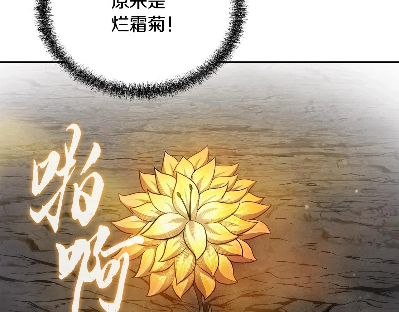 第84话 副主的布局188
