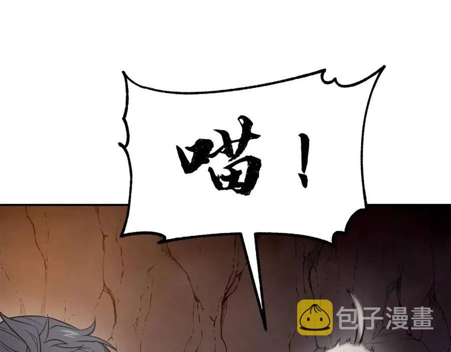 第23话 喜得宠物169
