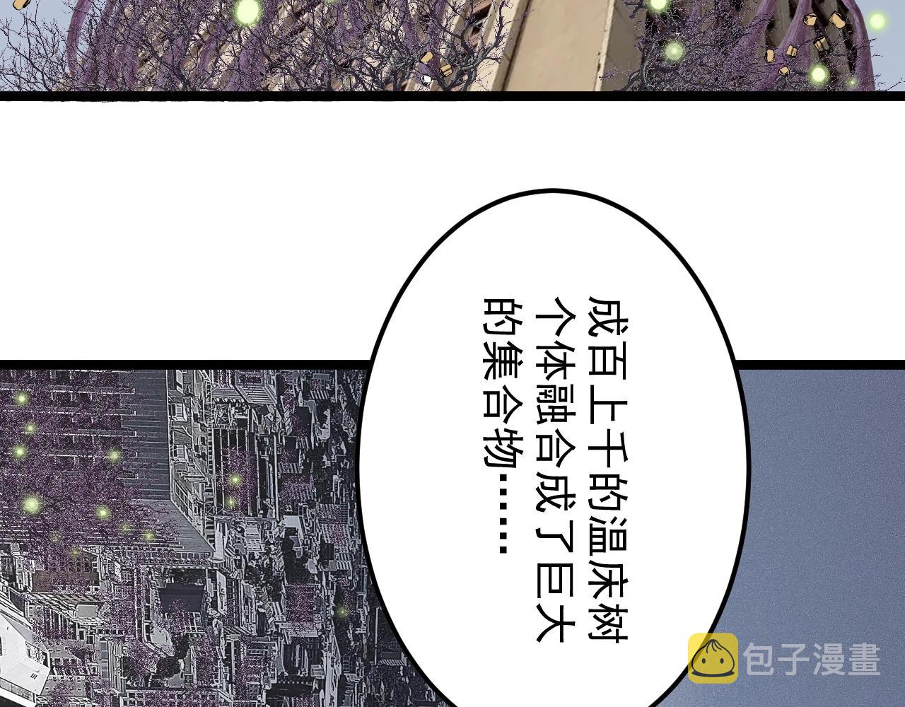 第218话 最后一次7