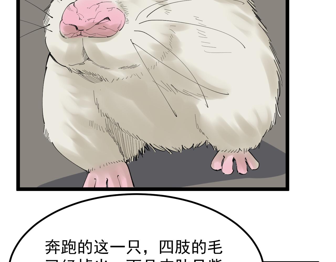 第192话老鼠实验29