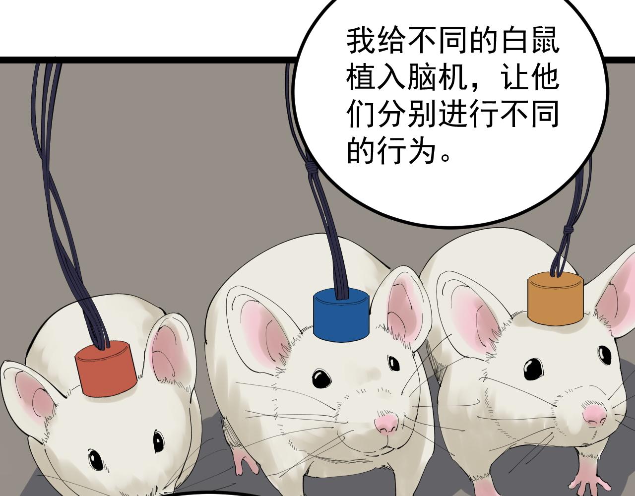第192话老鼠实验21