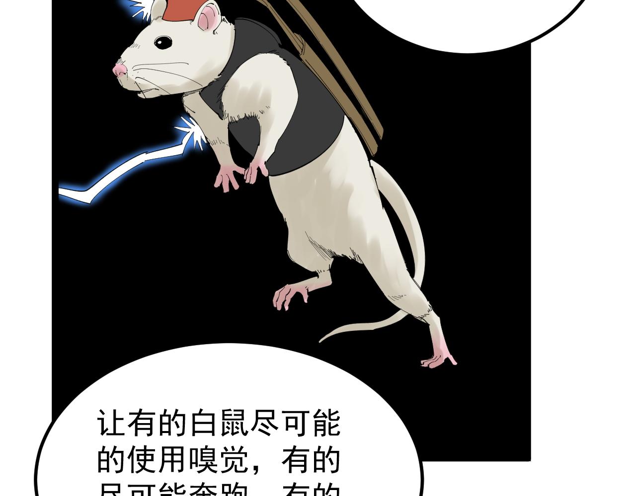 第192话老鼠实验23