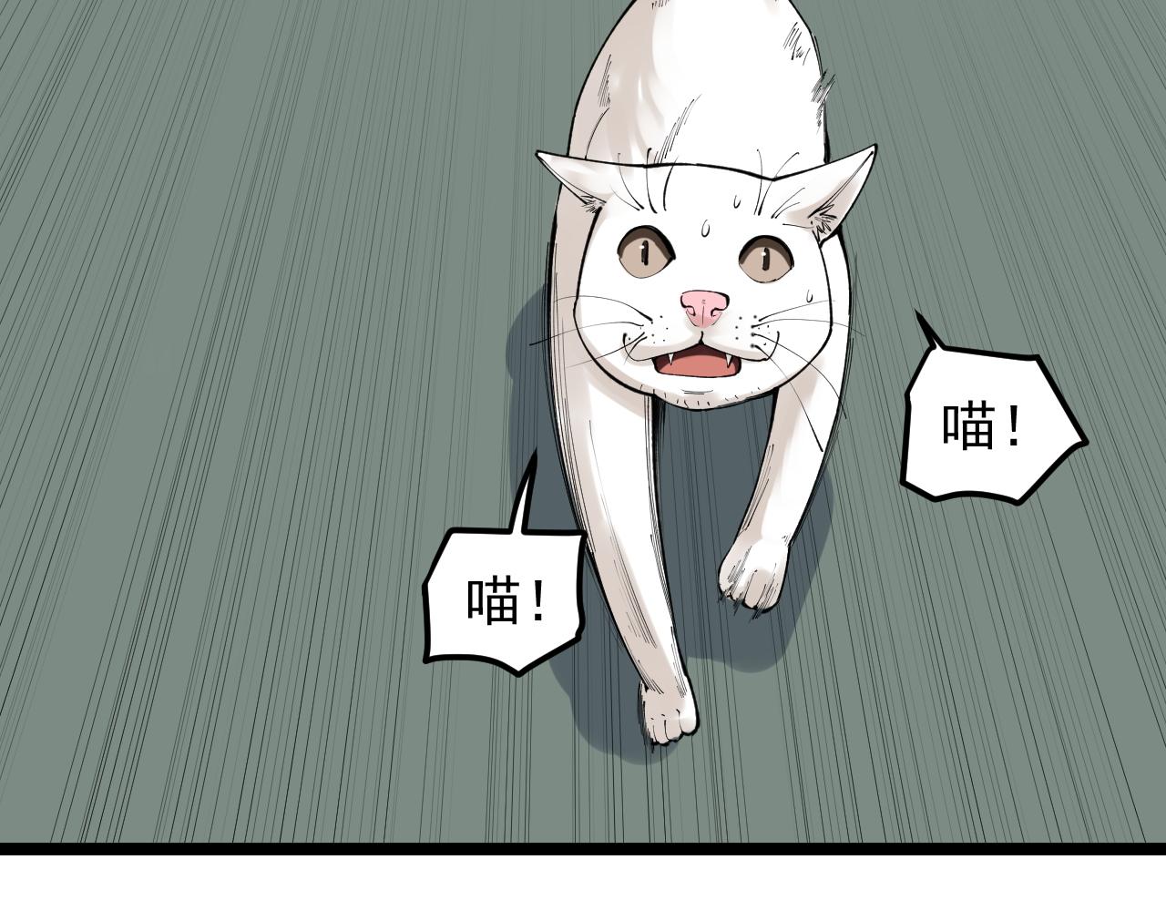 第146话 钦定人选13