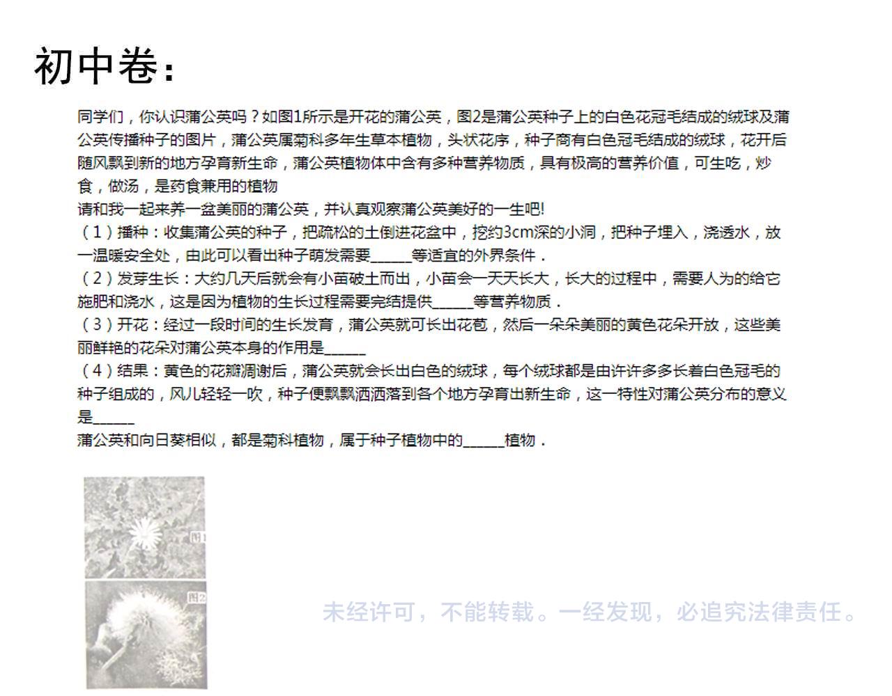 第220话 唯一的心愿123