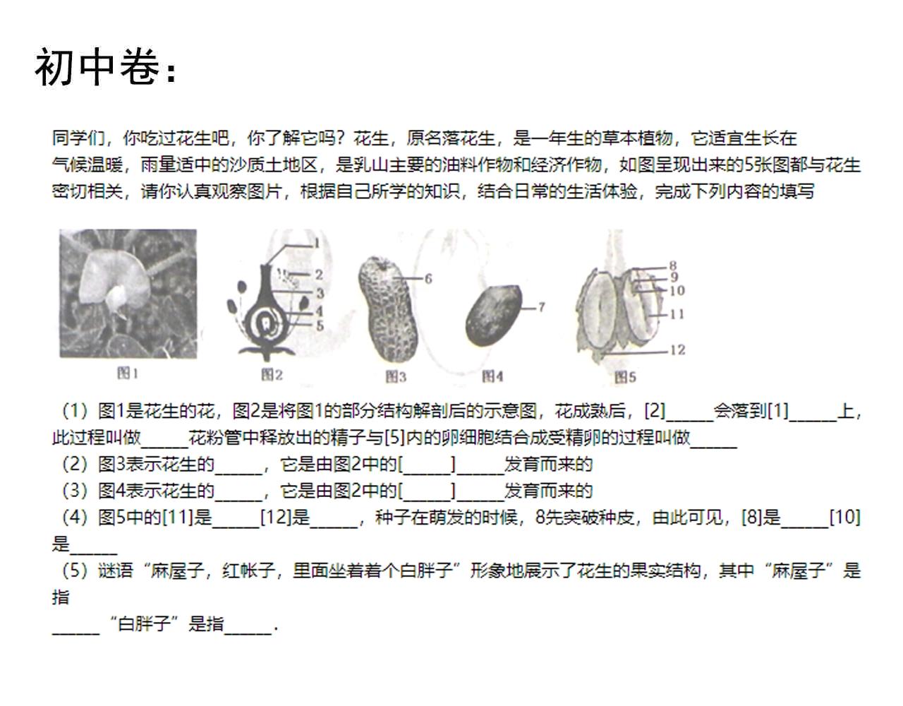 第130话 比特币117