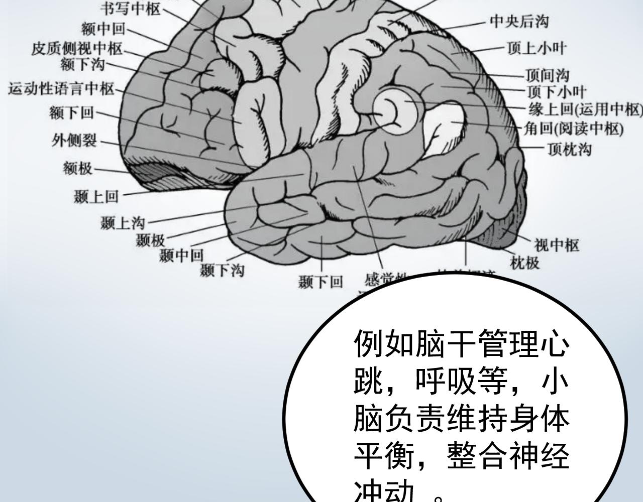 第192话老鼠实验7