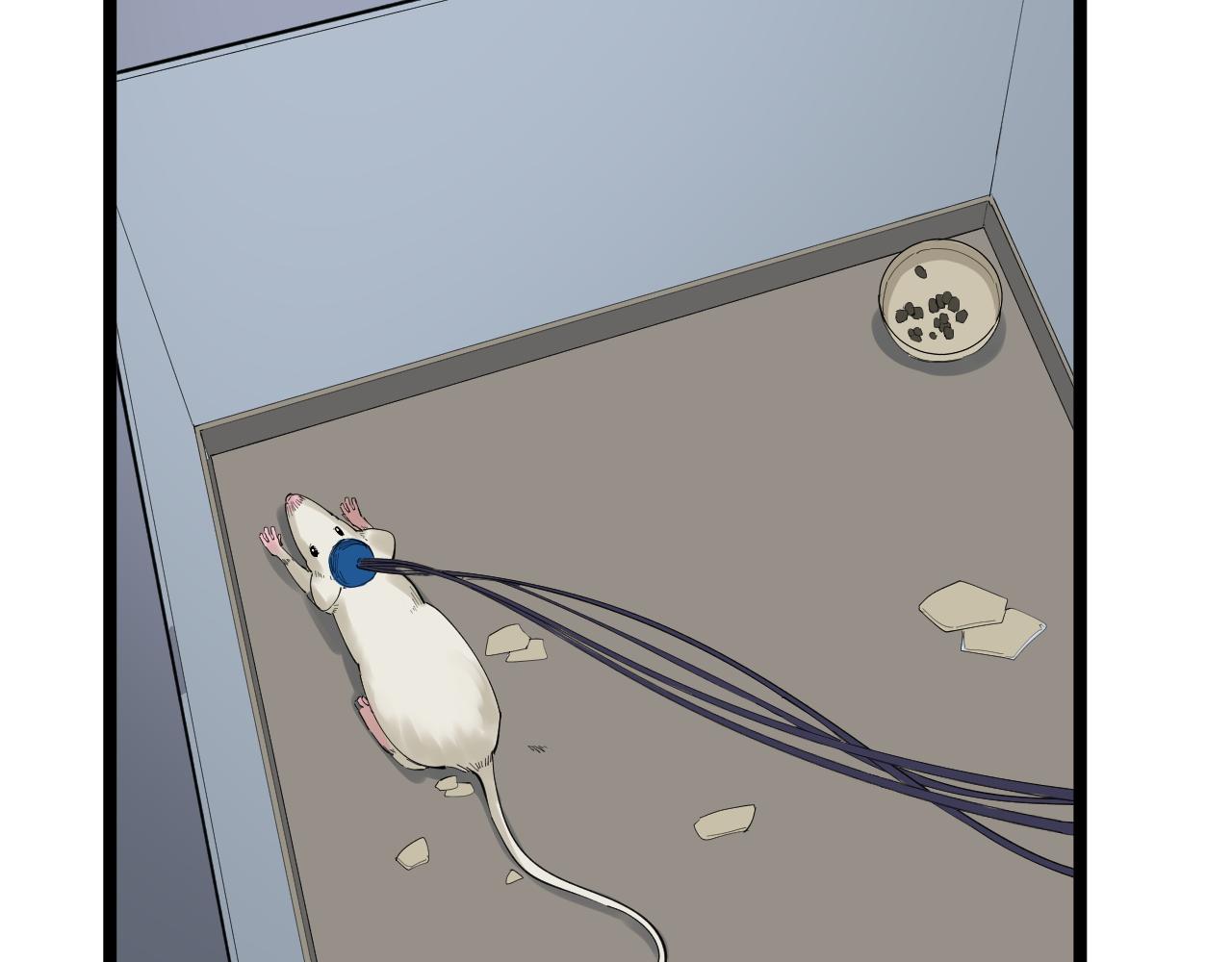 第192话老鼠实验12