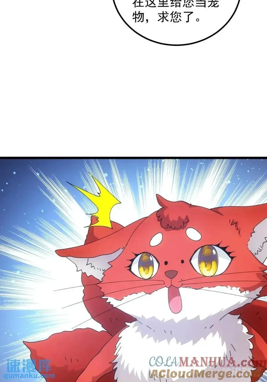 第248话 拜师6