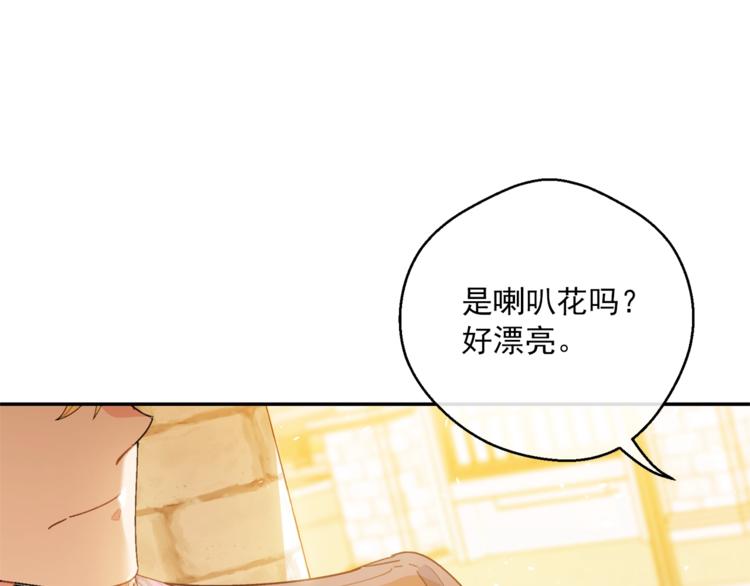 第77话 红薯花41