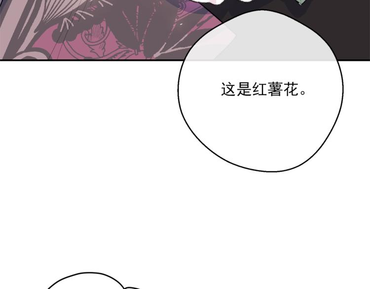 第77话 红薯花11