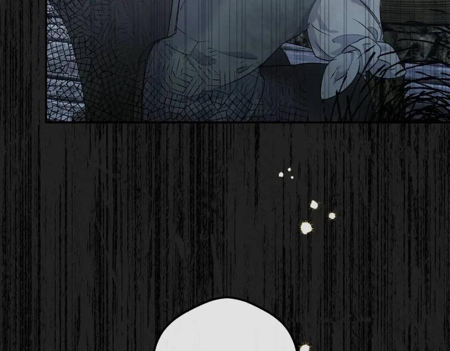 第60话 玫瑰果80