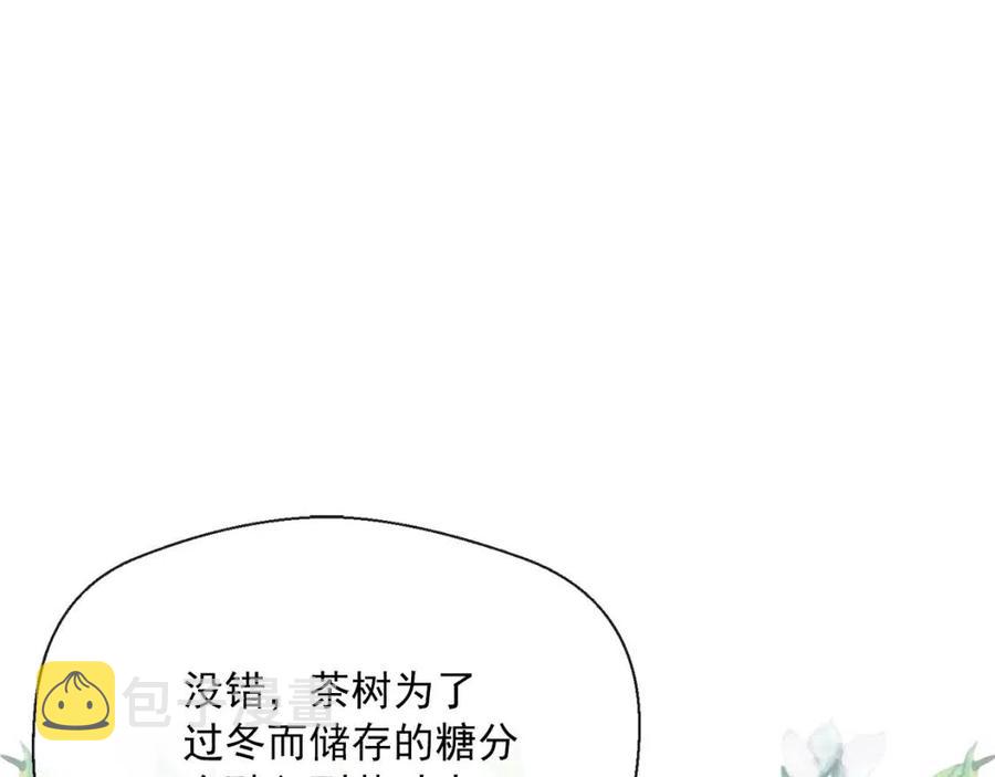 第46话 大吉岭茶87